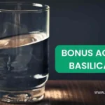 Bonus acqua basilicata 2024 Scopri se hai i requisiti o meno e ricevi subito 200 euro!