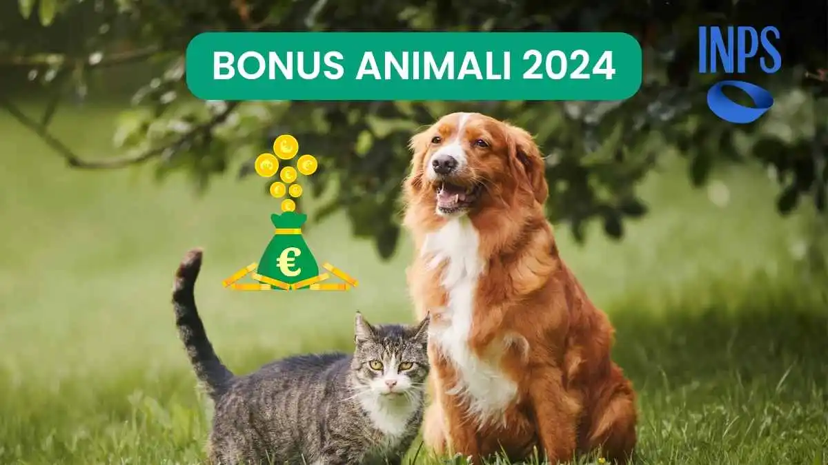 Bonus animali domestici 2024 requisiti e come richiederlo